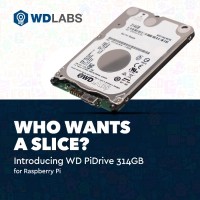 WD PiDrive 314GB Storage Device Announced